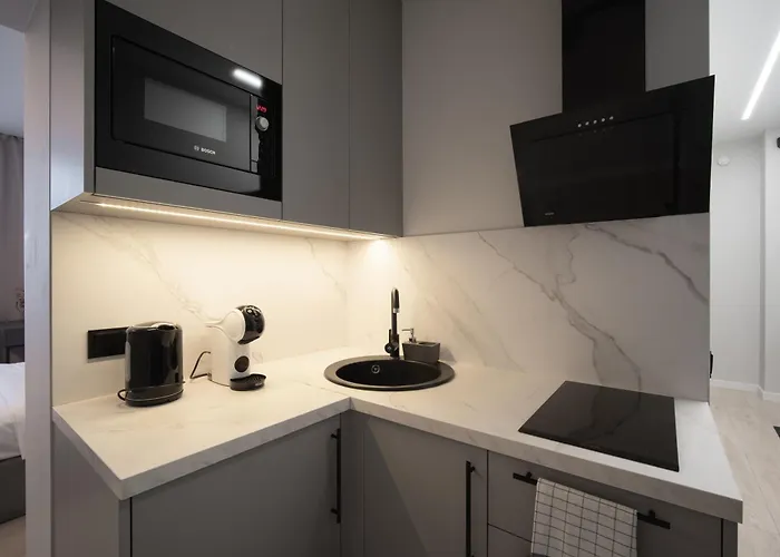 Cozy 4 Two - Center Lägenhet Kaunas